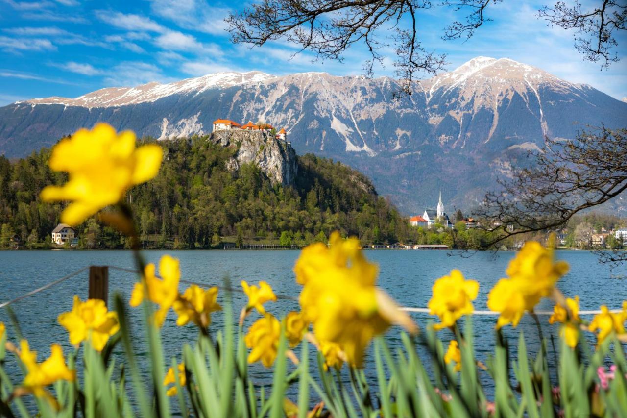Guta Lägenhet Bled Exteriör bild